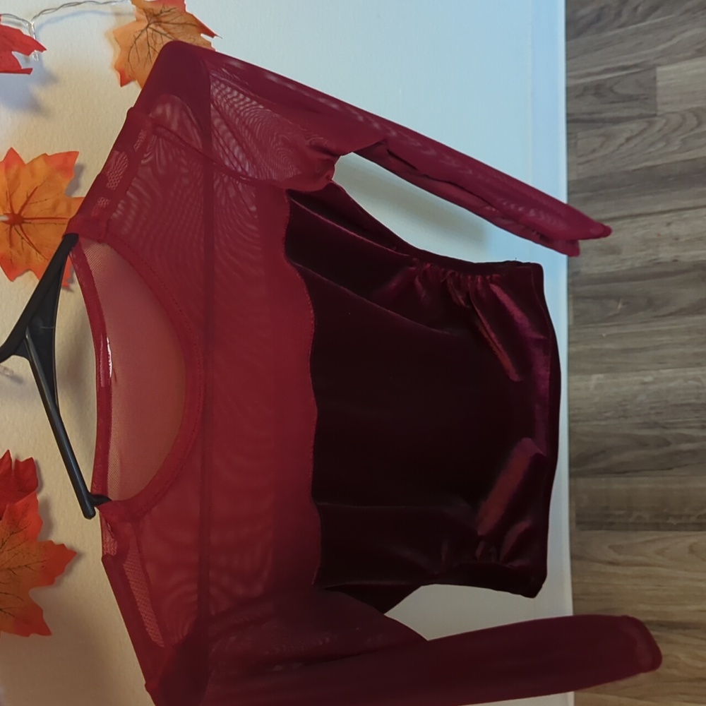 Elegant Black and Red Velvet Mesh Long Sleeve Tops! XS Goth/Grunge/Glam - Picture 6 of 7